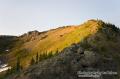 _IGP6246 morning light on hill